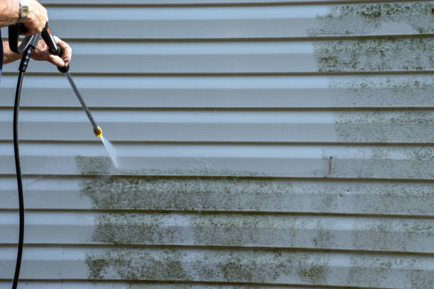 Best Siding Removal and Disposal  in Mountain Lakes, NJ